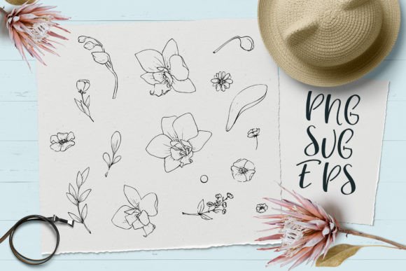 Delicate Flowers Graphics for Crafting