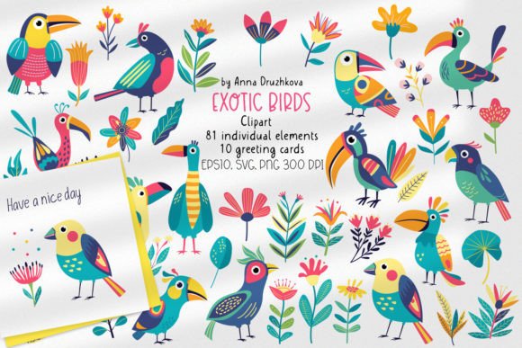 Exotic Birds and Flowers Graphics