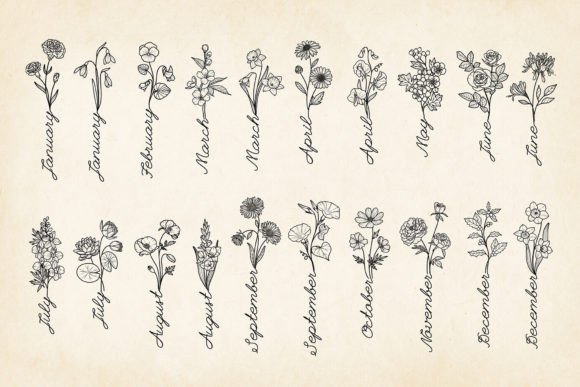 Hand-drawn Birth Flowers with Month Name Graphics