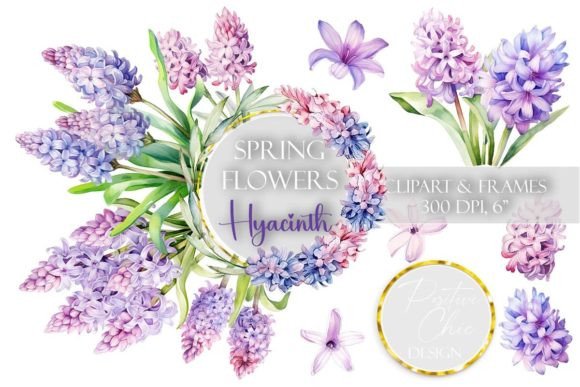 Hyacinth Clipart Spring Flowers Graphics