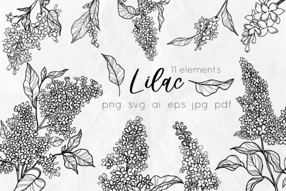 Lilac Flowers Line Art SVG
