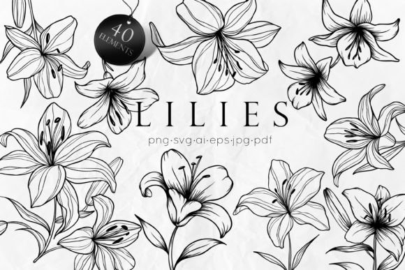 Lily Flowers Line Art SVG for Modern Branding