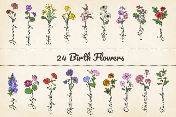 Minimalist Birth Month Flowers for Modern Branding