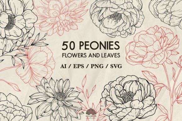 Peony Flowers Graphics for Creative Projects