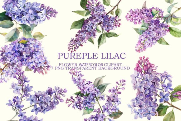 Purple Lilac Flowers Graphics for Editorial and Web Design