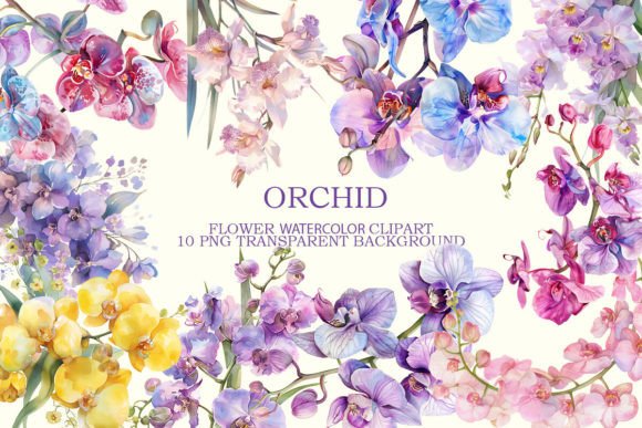 Watercolor Orchid Graphics for Local Branding